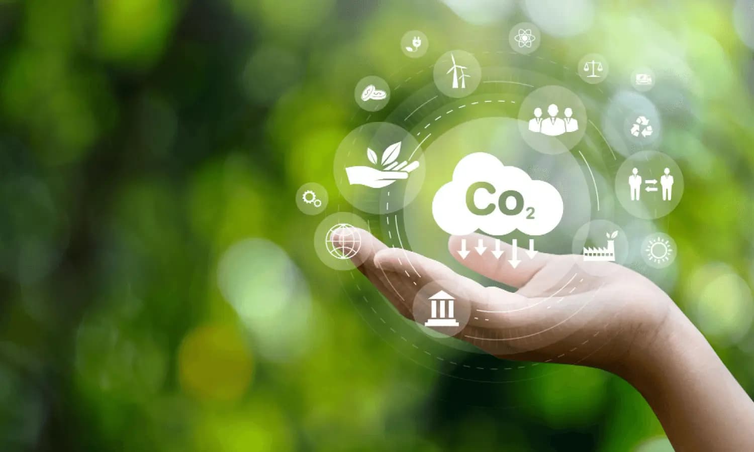 Carbon Regulations in Asia. What should I know?